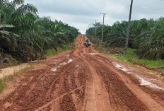 Jalan Sumber Deras - Pematang Panggang Rusak Terendam Banjir, Aktivitas Warga Terganggu, BPBD OKI Turun ke Lap