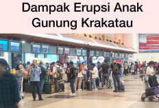 Beberapa Penerbangan Menuju & Dari Bandara Internasional Sultan Mahmud Badaruddin II Mengalami Pembatalan