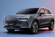 Ingin Beralih ke Mobil Listrik? Ini Panduan Membeli Mobil Listrik untuk Pertama Kali