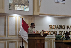 114 Sungai di Palembang Terancam Punah, Ratu Dewa: Dari 700-an Anak Sungai Tersisa 114 Harus Kita Rawat