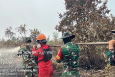 Lahan Gambut Terbakar di Sungai Bungin Dipadamkan Anggota Koramil Pampangan Bersama Satgas Yonif TP 949