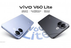 Ini 5 Alasan Kamu Wajib Punya Smartphone Vivo V60 Lite, Nomor 1 Jepret Foto Sekaligus Bernuansa 4 Musim