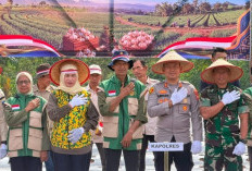 15 Hektare Lahan di Lahat Ditanami Bawang Putih, Kapolres: Dukung Swasembada Pangan Nasional