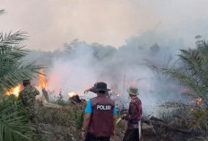 10 Hotspot Karhutla di Musi Rawas Berhasil Dipadamkan, Total Lahan Terbakar 6,8 Hektare