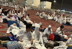 Kemenhaj Tangani 244 Aduan Haji dan Umrah, Kerugian Jemaah Rp247,65 Miliar, Enam Penyelenggara Diblokir