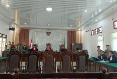 Perkara Ijazah Palsu, Kades Pematang Panggang OKI Dihukum 10 Bulan Masa Percobaan 1 Tahun