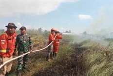 2 Hektare Lahan di Ogan Ilir Terbakar, Personel Gabungan Berjibaku Padamkan Api di Semak Belukar