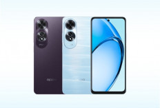 OPPO A60, Pilihan Stylish dan Tangguh di Kelas Rp 2 Jutaan, Berikut 6 Kelebihannya