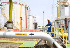 Temuan Sumber Daya dan Cadangan Sukses Bikin Produksi PHE Tembus 1 Juta BOEPD pada 2025