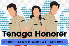 Nasib Tenaga Honorer Tidak Ada Kepastian, Pengangkatan Non ASN Jadi PPPK Terganjal Ini! 