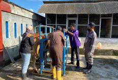 Tingkatkan Kualitas Layanan Kesehatan, Petugas IB dan Paramedik Ikuti Pelatihan Profesional