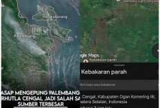 Asap Pekat Kepung Palembang, Karhutla Cengal OKI Disebut Jadi Salah Satu Penyumbang Terbesar