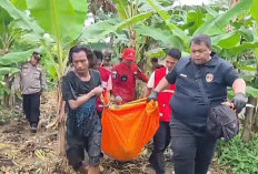 Mayat Mr X Mengambang Ditumpukkan Eceng Gondok Dekat Kawasan Kampus Poltekpar Palembang 