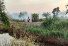 Kebakaran Lahan di Desa Parit Ogan Ilir, Personel Gabungan Berjibaku Padamkan Api dengan Alat Seadanya