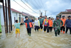 Ribuan Rumah di Kecamatan Talang Kelapa dan Air Kumbang Banyuasin Paling Parah Terendam banjir