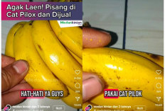 Warganet Dibuat Geger, Pisang Dicelup Cat Pilox agar Terlihat Matang Ancam Kesehatan