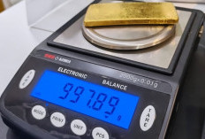 Emas Digital Harus Nyata, DSN MUI Susun Fatwa Baru untuk Transaksi Online