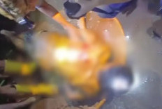 Petani Ditemukan Tewas di Perkebunan Sawit, Pelaku Diburu Polisi