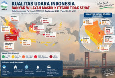 Alarm Udara Sumbagsel! PM2.5 Palembang Tembus 110,3 µg/m³, Masuk Kategori Tidak Sehat
