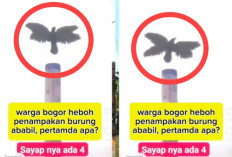 Warga Bogor Dihebohkan Video Penampakan Burung Ababil, Netizen Ramai: Pertanda Apa?