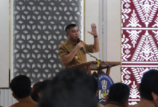 Program Palembang Cerdas, Ratu Dewa akan Bagikan Seragam Gratis untuk SD dan SMP