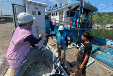 PT PLN (Persero) Catatkan Penjualan Listrik 155,62 TWh di Semester I 2025, Tumbuh 4,36 Persen YoY