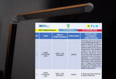 Pemeliharaan Jaringan PLN, Sejumlah Wilayah di Sukarami Alami Pemadaman Listrik