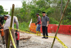 Tinjau Jembatan Ambrol di Kecamatan Payaraman, Wabup Ogan Ilir Minta Dibukakan Jalur Alternatif