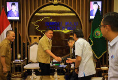 Dorong Percepatan Elektrifikasi Pelosok, Gubernur Sumsel Pastikan 6.045 KK Segera Nikmati Listrik