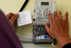 Dugaan Kenaikan Tarif Listrik Usai Diskon 50 Persen Bikin Warga Deg-degan, DPR Cubit PLN