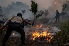 Kuasa Hukum Soroti Kejanggalan dan Motif Gugatan Perbuatan Melawan Hukum Terkait Karhutla