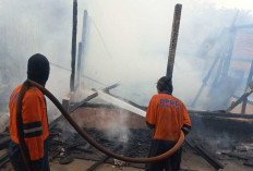 Kebakaran Lahan Sebabkan Gedung SDN 02 Indralaya Selatan Ikut Terbakar, Disdikbud Ogan Ilir Liburkan Siswa