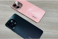 3 Rekomendasi HP Vivo dan iQoo Baterai Besar untuk Gaming, Pilih Mana!