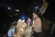 Pohon Tumbang Tutupi Jalan Kuburan Gunung Meru Palembang, Evakuasi Makam Rusak Berlangsung Malam Hari 