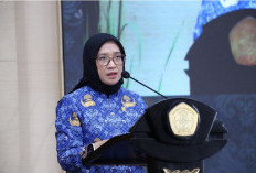 Wajib Tahu! 2 Syarat Utama MenPAN RB Agar Tenaga Honorer Bisa Menjadi PPPK Paruh Waktu