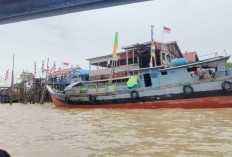 Jelajah Sungsang: Kampung Nelayan Penghasil Udang, Mangrove Lestari, dan Misteri Ikan Tirusan Bernilai Ratusan