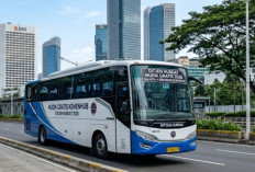 Cara Daftar Mudik Gratis Bulog 2026: Link, Syarat, dan Panduan Lengkap