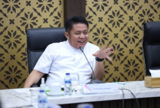 Herman Deru Tegaskan Kebijakan Sumsel Harus Berbasis Data Statistik