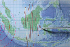 Gempa Landa Halmahera Barat, ini Kekuatannya