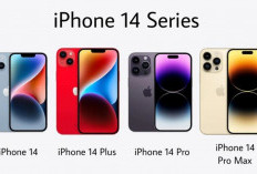 Harga iPhone 14 Series September 2026, Masih Worth It Dibeli?