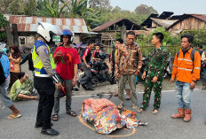2 Motor Senggolan, Vario dan Pengendaranya Jatuh di Jalur Bus Karyawan, Akibatnya Fatal