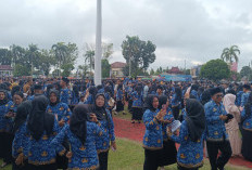 Honorer di Pemkab OKI tidak Diperkerjakan Lagi, Rata-rata telah Dikukuhkan PPPK Paruh Waktu