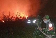 15 Hektare Lahan di Pemulutan Terbakar, Dandim 0402/OKI-OI Turun Langsung Pimpin Penanganan