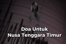 Korban Meninggal Gempa M7,7 NTT Bertambah Tembus 38 Orang, 50 Ribu Paket Sembako Segera Dikirim