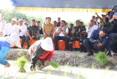 Hadapi El Nino, Gubernur dan Danrem Tanam Padi di Kabupaten OKI sebagai Lokus Percepatan 