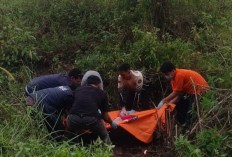 Polisi Selidiki Identitas Mayat Pria Tak Berbaju yang Ditemukan Tewas di Bawah Jembatan Jalan Tol