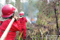 Karhutla di OKI Terus Meluas 10 Hektar Lahan Gambut Terbakar di Kecamatan Tanjung Lubuk OKI