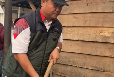 Camat AAL Turun Langsung! Puluhan Lapak di Jl Ibnu Sutowo Palembang Dibongkar