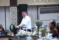 Dua Daerah di Sumsel Masuk Prolegnas, Herman Deru Minta Dukungan DPD RI