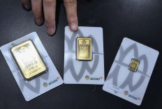 Daftar Lengkap Harga Emas Antam Hari Ini, Jumat 5 Juni 2026 Naik Rp 11.000 Per Gram 